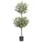 4.5ft. Potted Olive Double Topiary Tree